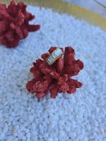 bague d'oreille steffie